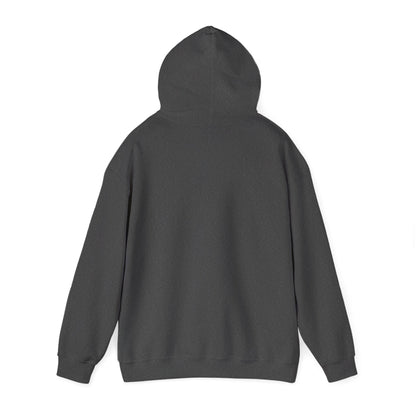 Hoodie — 'Switch Bitch' Retro Arrow Graphic Hoodie