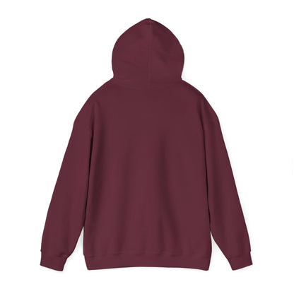 Hoodie — 'Switch Bitch' Retro Arrow Graphic Hoodie