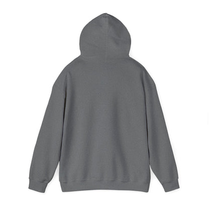 Hoodie — 'Switch Bitch' Retro Arrow Graphic Hoodie