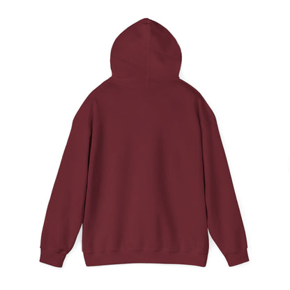 Hoodie — 'Switch Bitch' Retro Arrow Graphic Hoodie