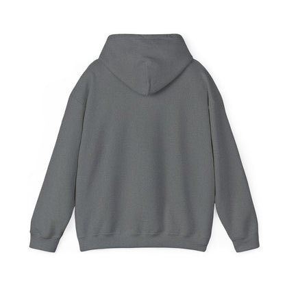 Hoodie — 'Switch Bitch' Retro Arrow Graphic Hoodie