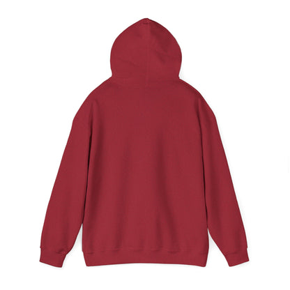 Dragon Fire Hoodie - "You Decisions, I Burn" Fantasy Graphic Sweatshirt